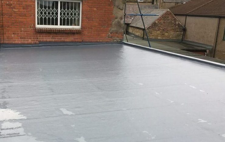 SIKA Liquid Plastics Flat Roof Repair